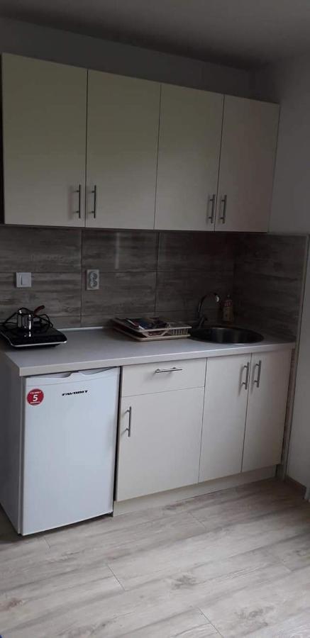 Vila Cair Doplata Za Bazen Sokobanja Exterior foto